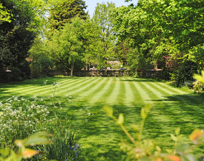 service clean and green lawn care