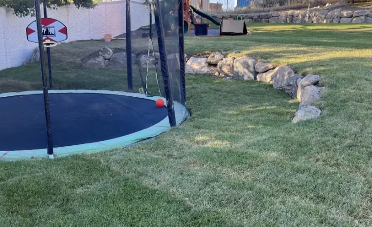A round trampoline with a basketball hoop sits in a backyard with green grass and rock landscaping.